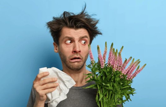 Allergy Detectives